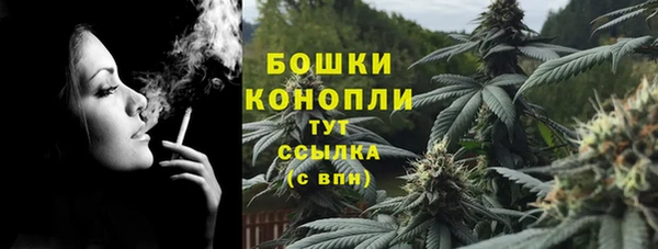 спиды Заводоуковск